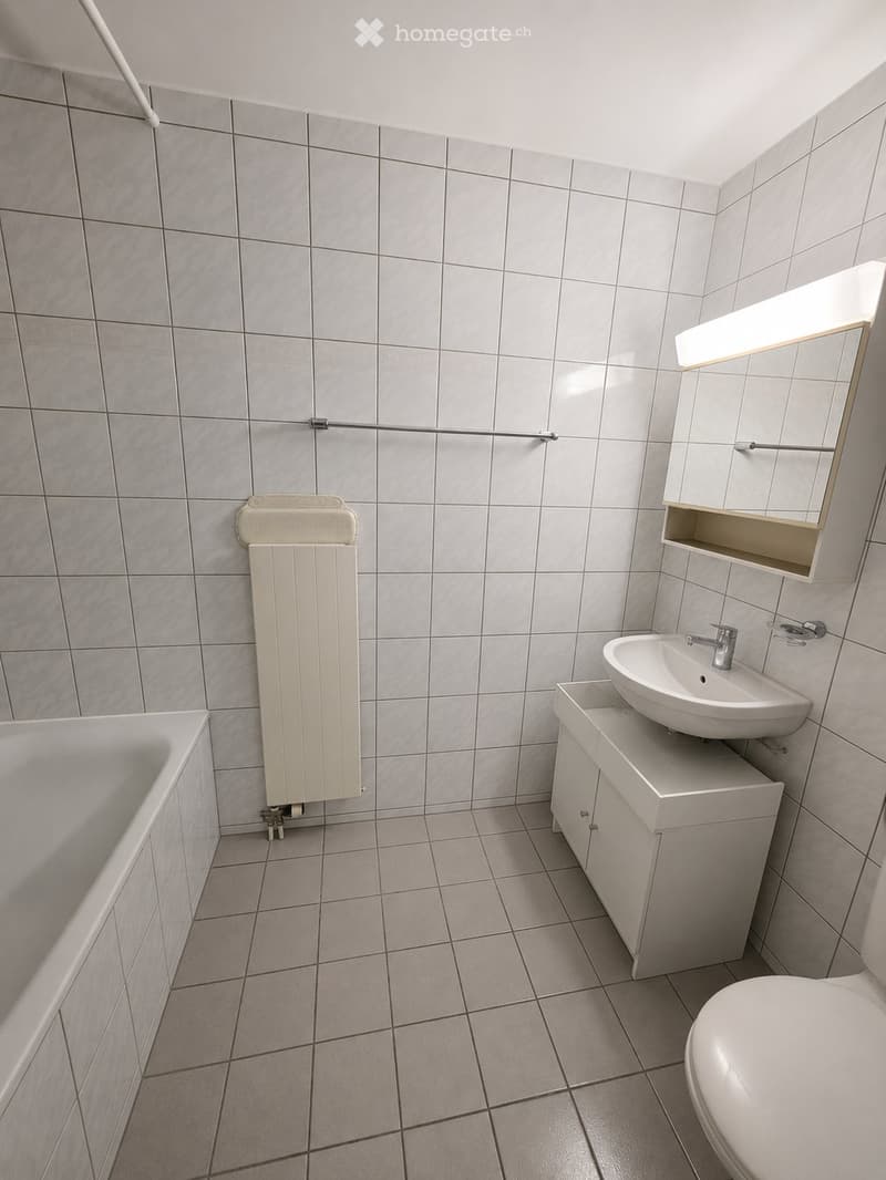 Reprise de bail - Appartement lumineux de 4,5 pièces 113m2 (3)