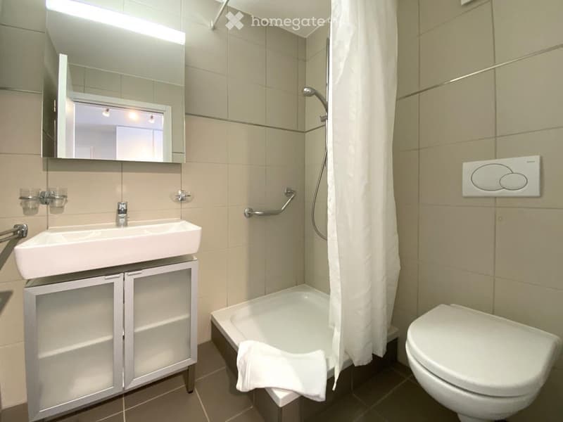 APPARTEMENT 4,5 + PLACE DE PARC INTERIEUR 01.10.2026 (4)