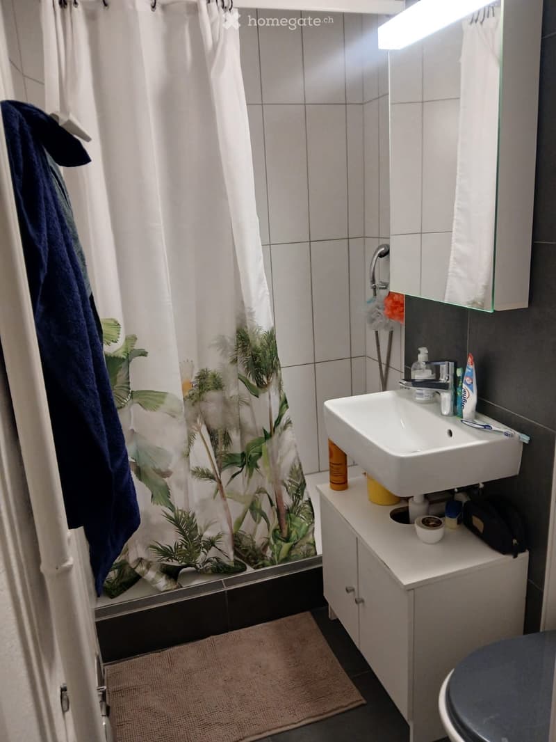 Appartement à louer dès le 1er octobre 2026 (3)