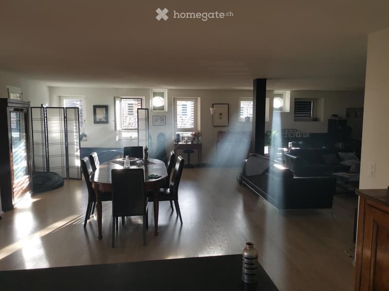 Assens - Lumineux loft de 140 m2 à louerAssens (5)