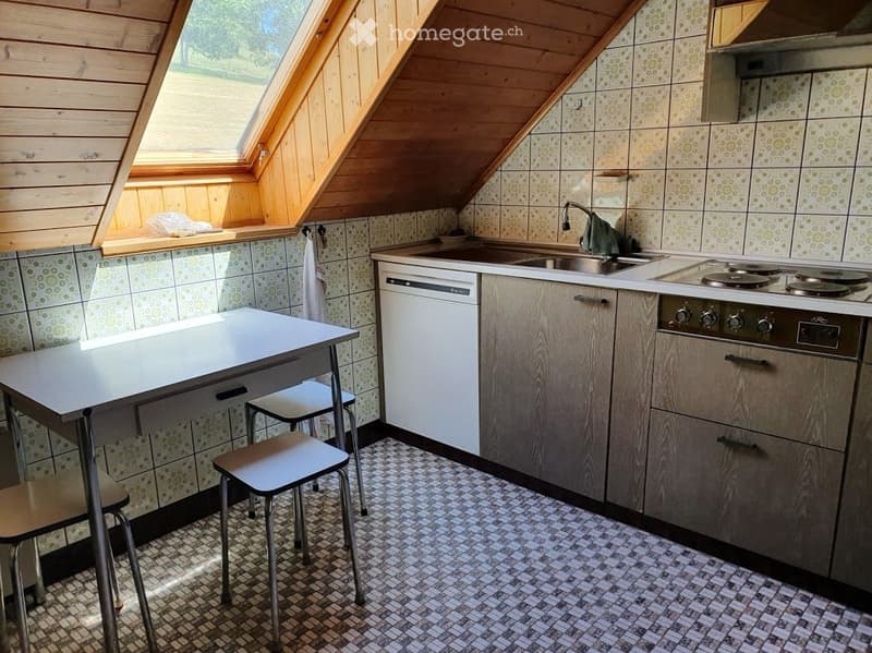 deux pièces et demi MEUBLE (3)
