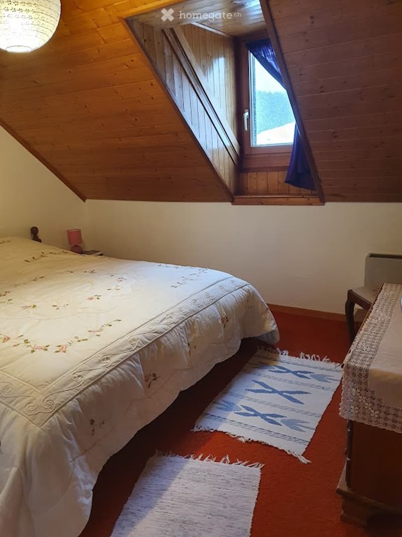 deux pièces et demi MEUBLE (4)