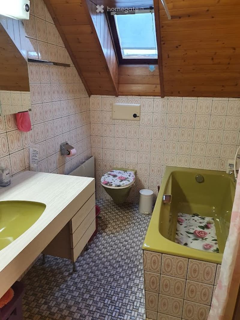 deux pièces et demi MEUBLE (5)