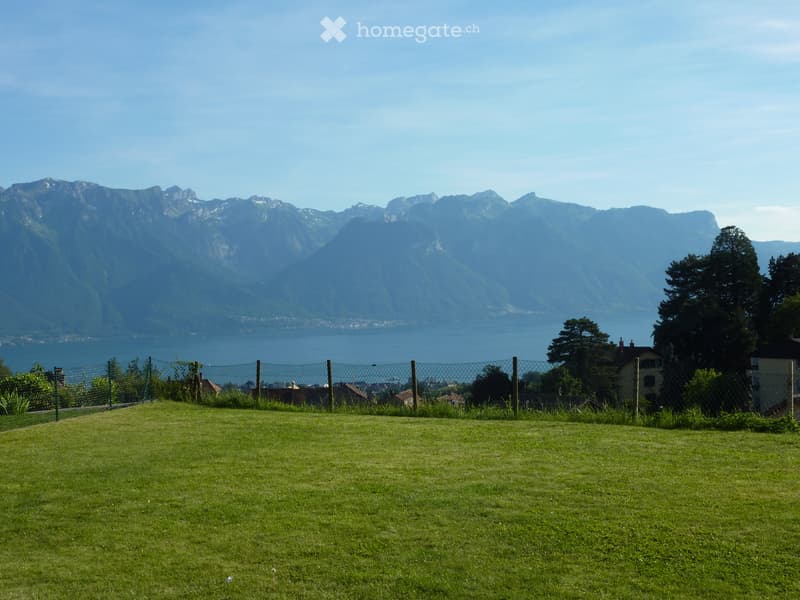 VUE GRANDIOSE ET IMPRENABLE SUR LE LAC ET LES ALPES (1)