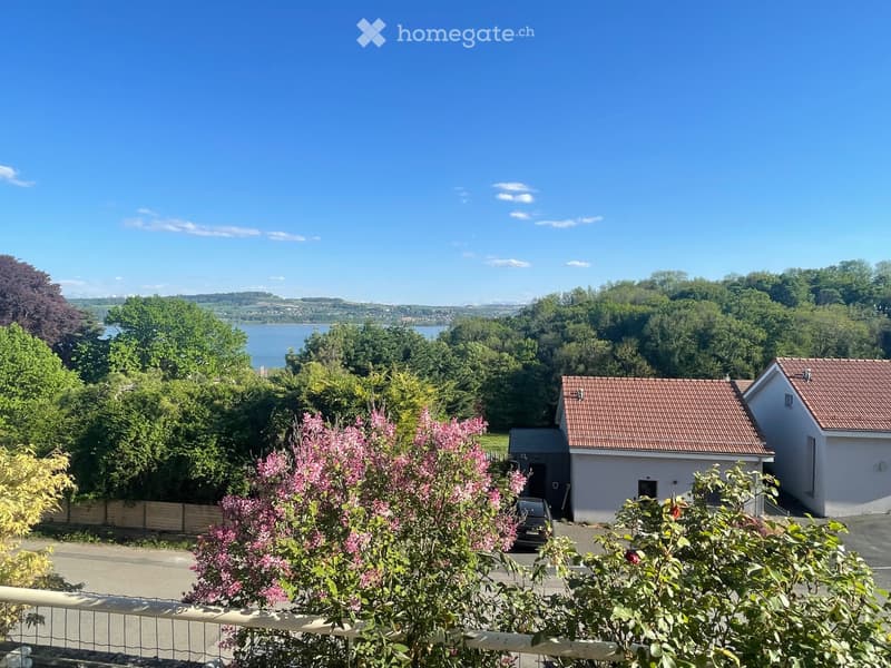 Magnifique appartement à louer (3)