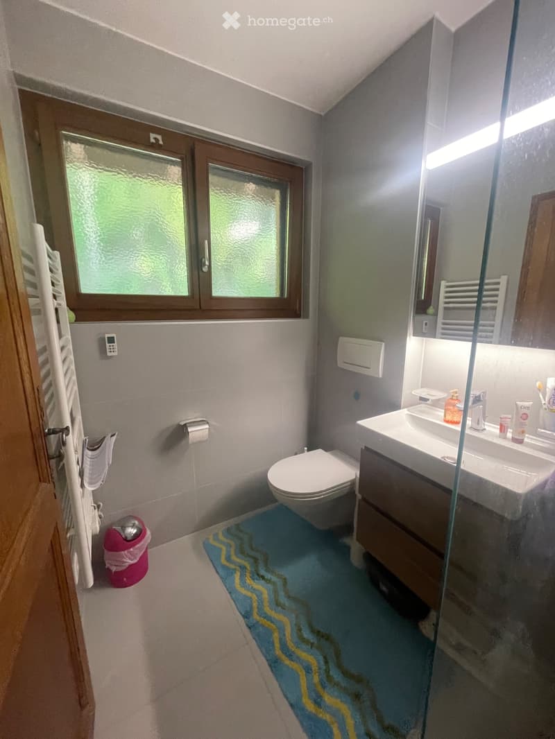 Magnifique appartement à louer (2)