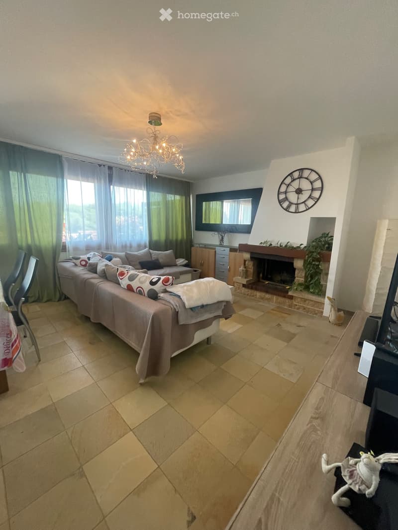 Magnifique appartement à louer (4)
