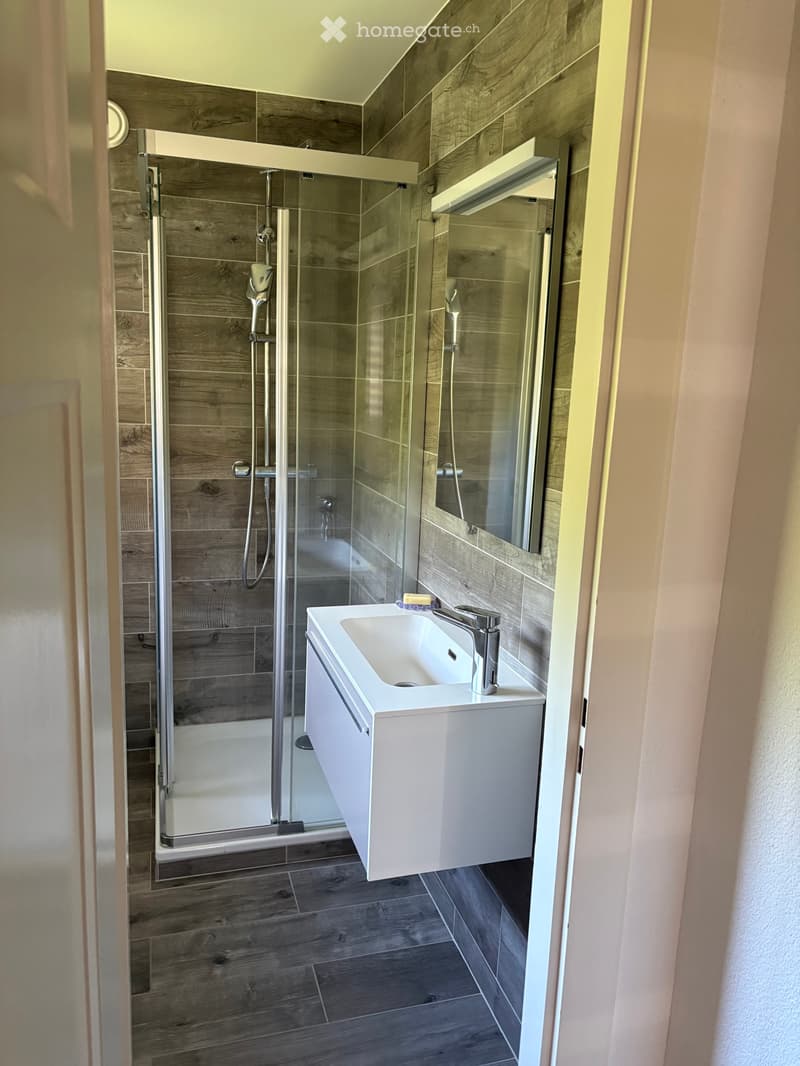Charmant appartement en attique de 2 pièces (4)