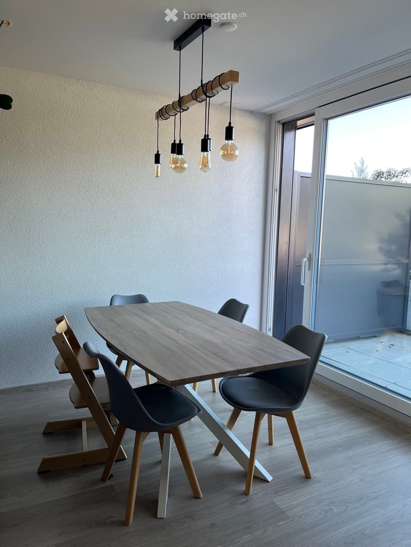 3,5 pièces attique 73m2 à remettre au 1er septembre (3)
