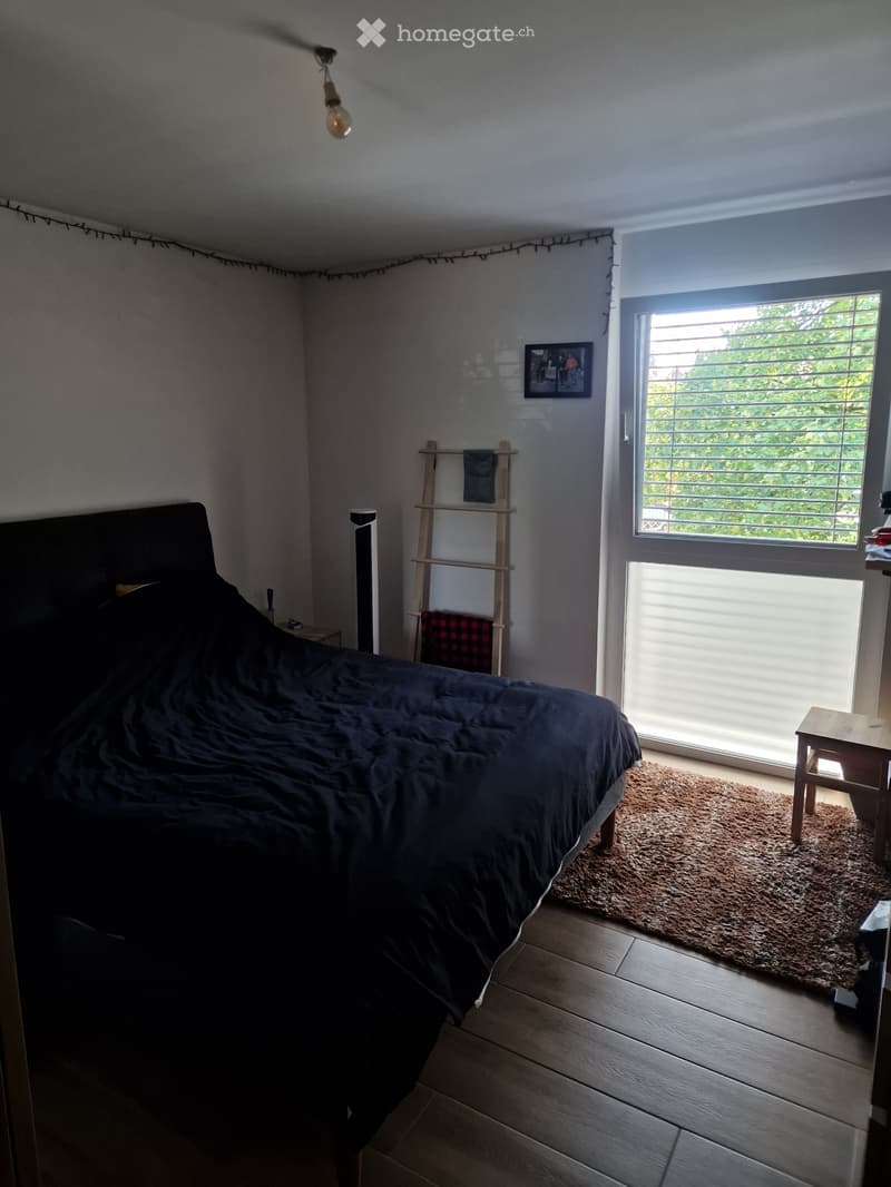 Appartement 4.5 pièces (5)