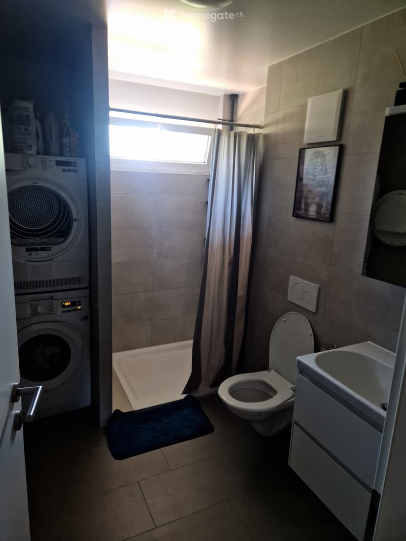 Appartement 4.5 pièces (4)