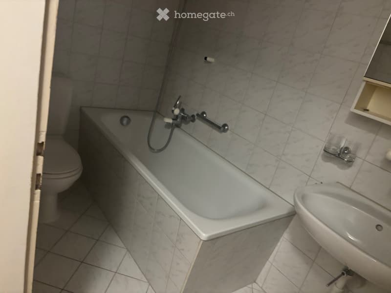 Teil Renommierte Wohnung zu vermieten (5)