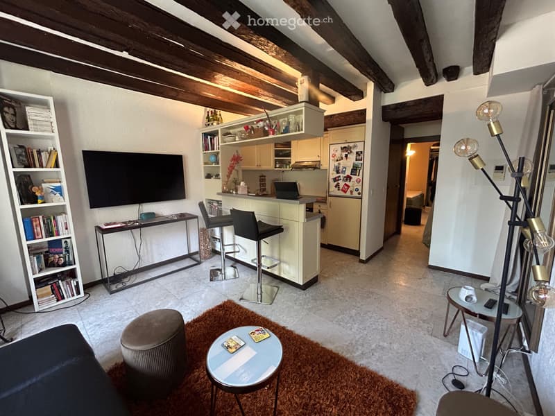 À sous-louer : appartement meublé en Vieille Ville, Genève (5)