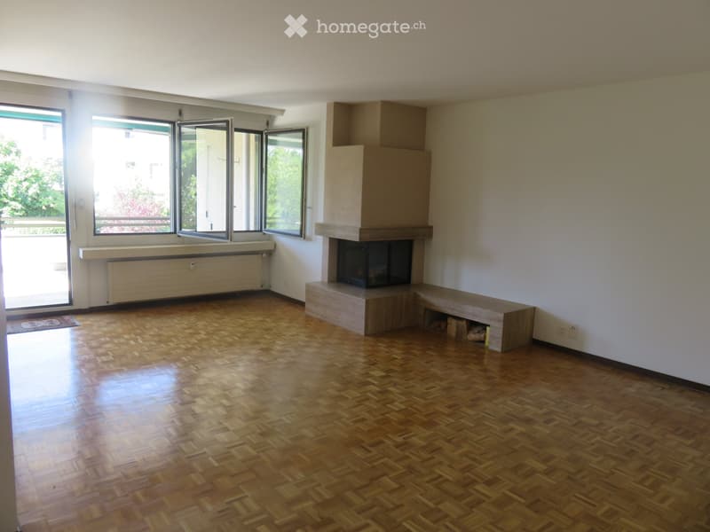 Charmante zentrale Wohnung (1)