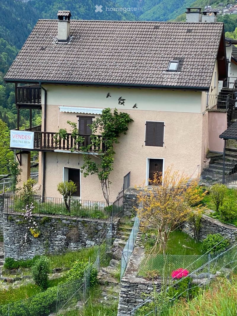 Wunderschönes, Haus in sonniger Lage mit separatem Gästehaus (1)
