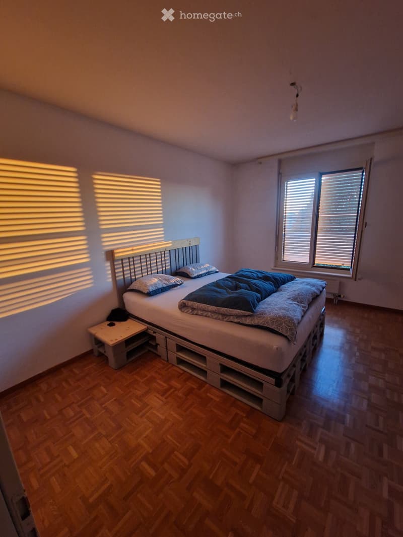 Appartement 3,5 (5)