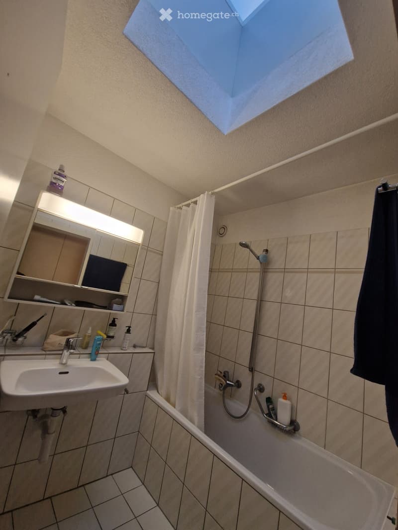 Appartement 3,5 (2)