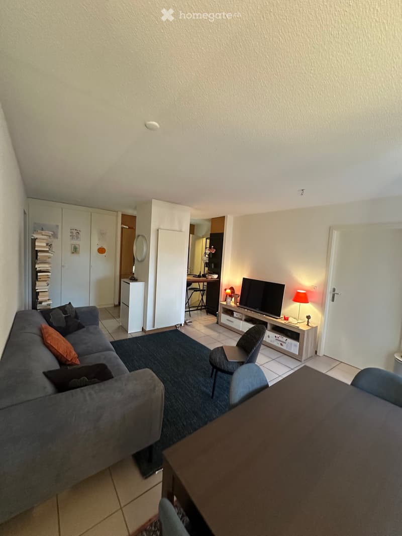 Location appartement urgent (3)