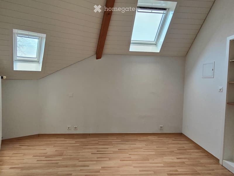 Appartement Colombiers (4)