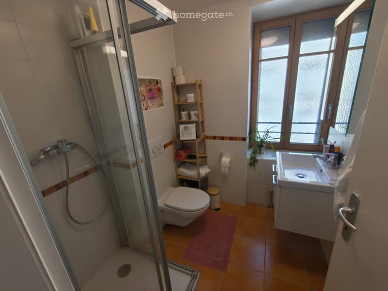 Appartement de 5 pièces en duplex - Vevey centre (10)