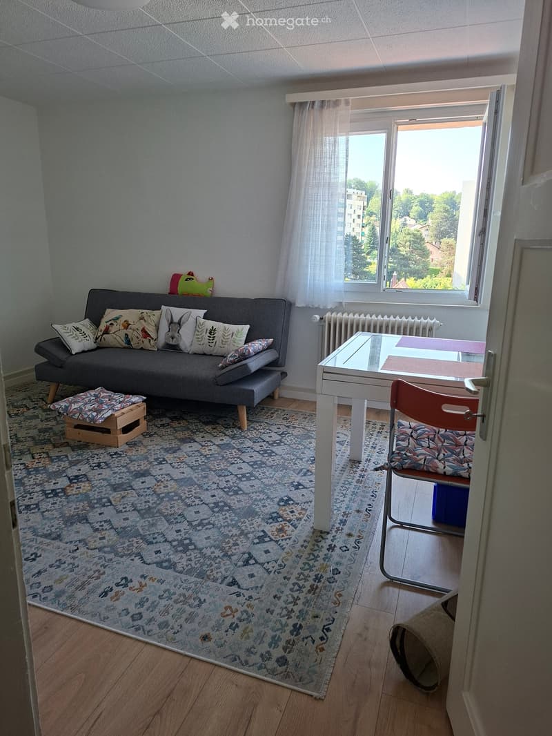 A louer appartement de 3.5 pièces quartier du Jura (5)