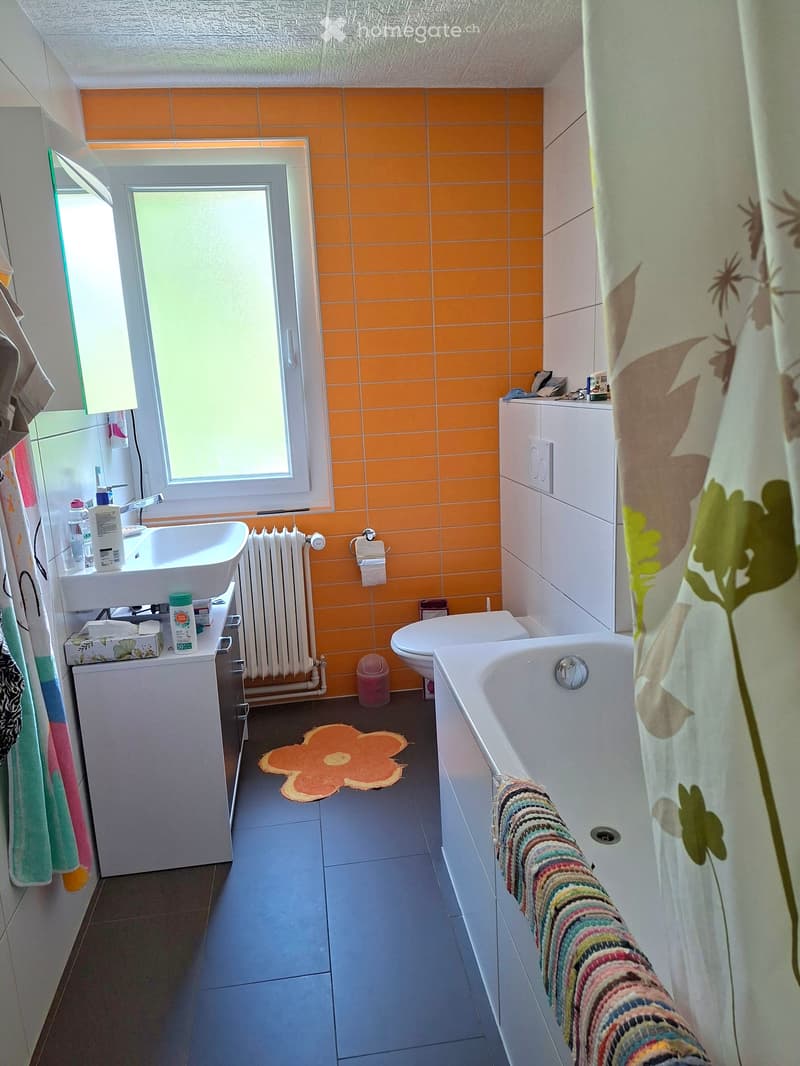 A louer appartement de 3.5 pièces quartier du Jura (3)