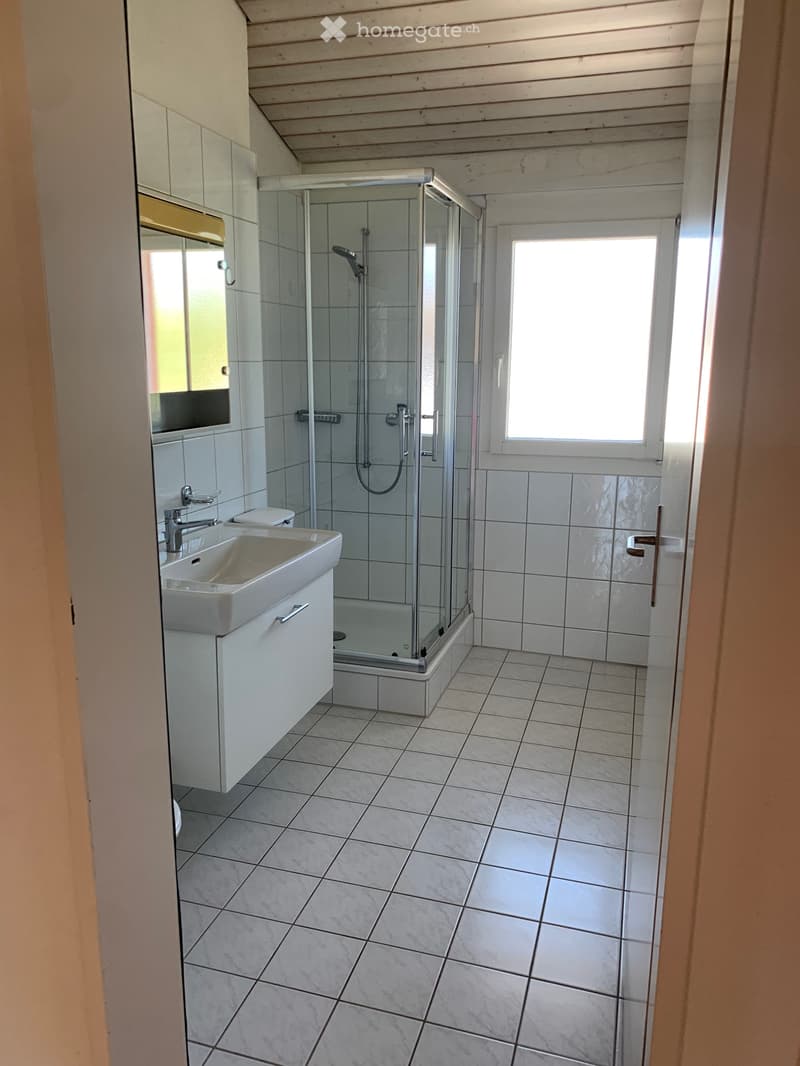 Reihen Eck-Einfamilienhaus 5,5 Zimmer (4)
