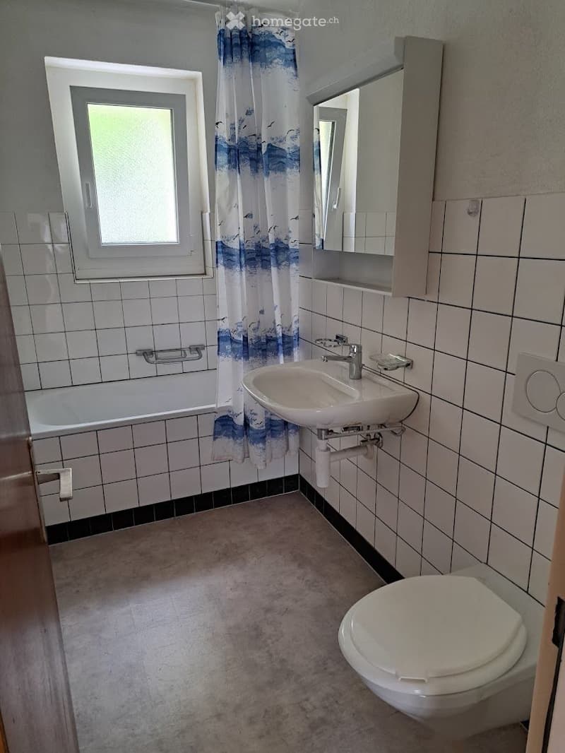 A louer, charmant 3,5 pièces (4)