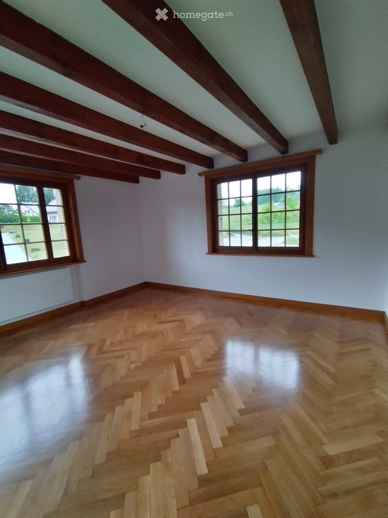 Grand duplex avec cachet dans une ancienne ferme rénovée (3)