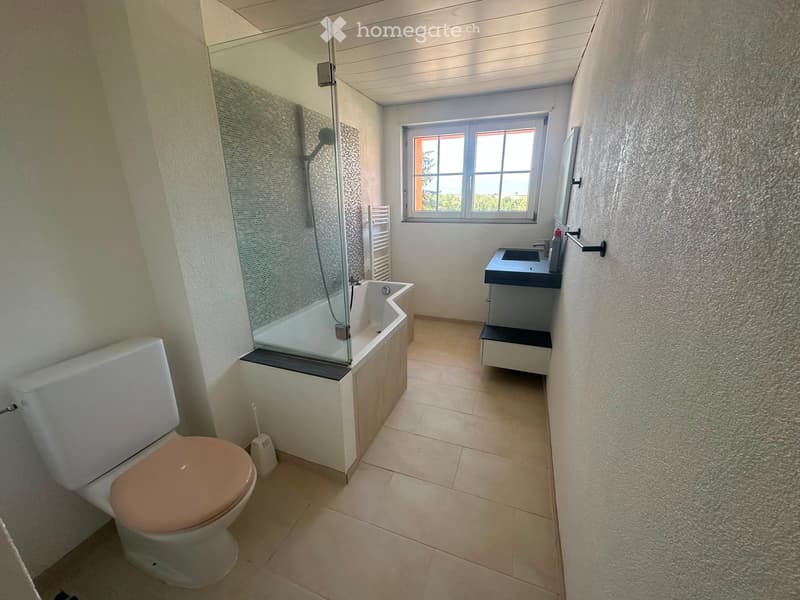 Grand appartement lumineux (2)