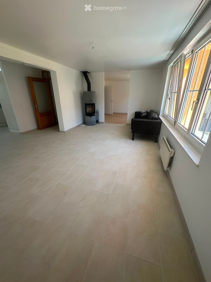Grand appartement lumineux (4)
