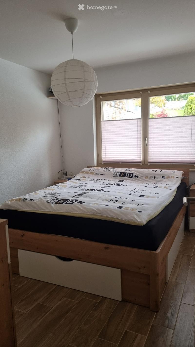 Appartement calme, rénové en 2020, vue et balcon plein Sud (3)