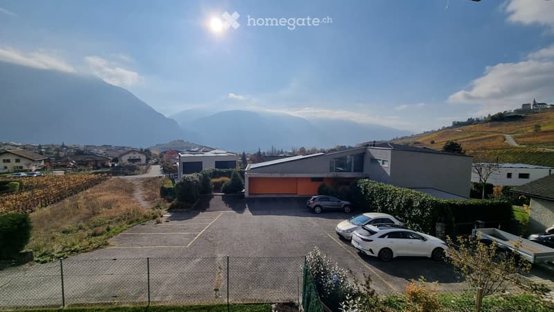 Appartement calme, rénové en 2020, vue et balcon plein Sud (5)