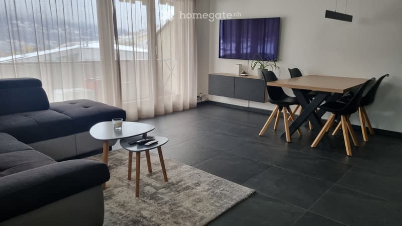 Appartement calme, rénové en 2020, vue et balcon plein Sud (2)