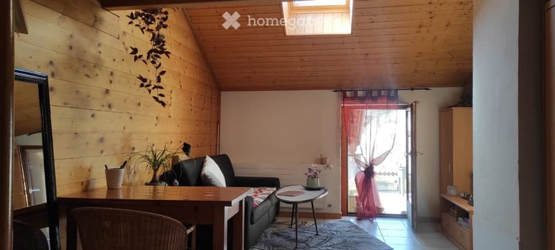 A louer dans chalet, appartement meublé 2 pièces (1)