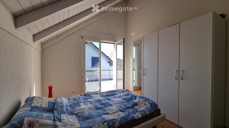 Stilvolles 5.5-Zimmer-Einfamilienhaus mit 507 m² Grundstück (5)
