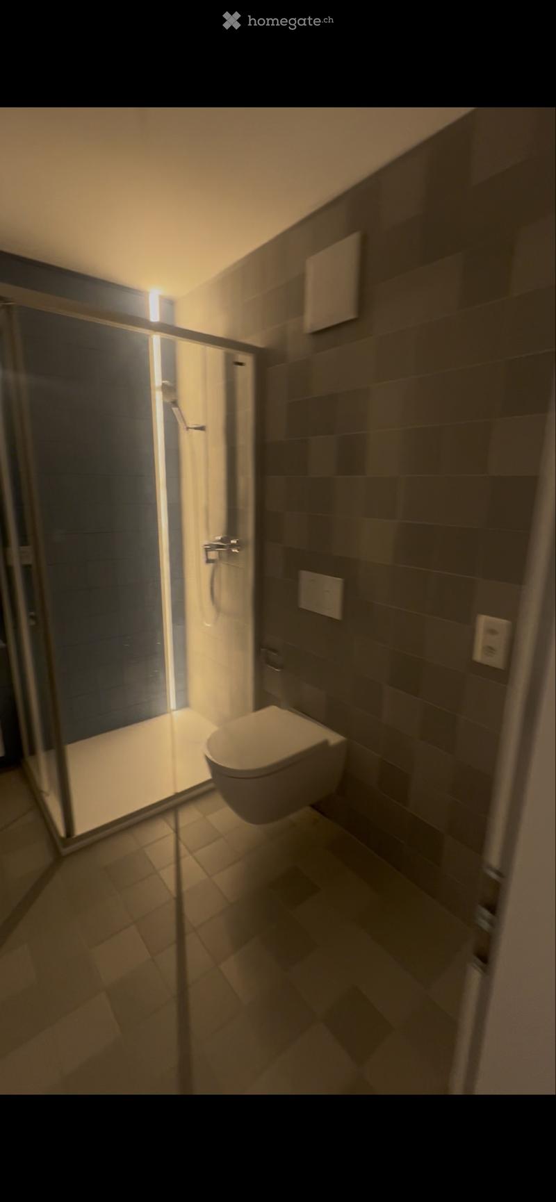Magnifique appartement de 4,5 pièces dans un immeuble neuf (4)