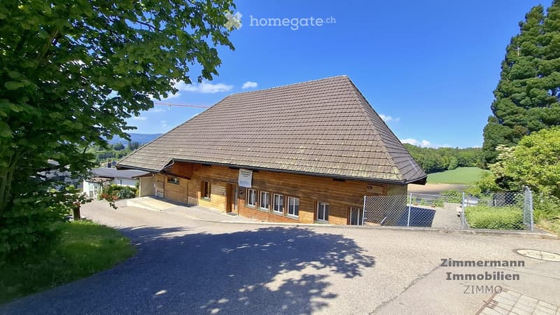 Historisches Studhaus auf attraktivem Baugrunddstück (2)