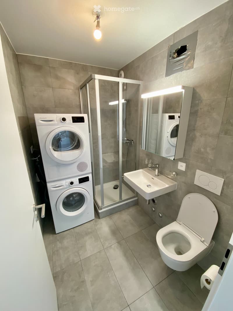 Modern 1-bedroom apartment in Nyon from 1 September 2026 (5)