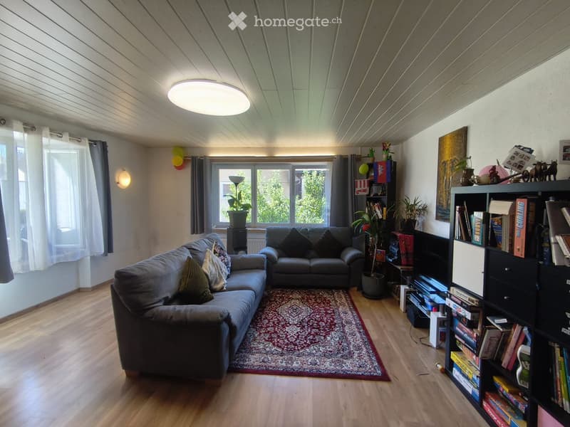grand appartement 5,5 pièces (5)