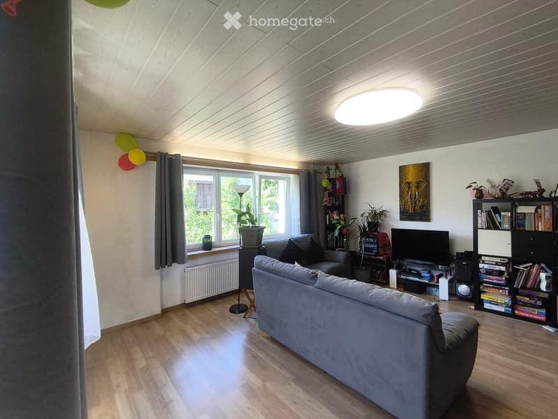 grand appartement 5,5 pièces (2)