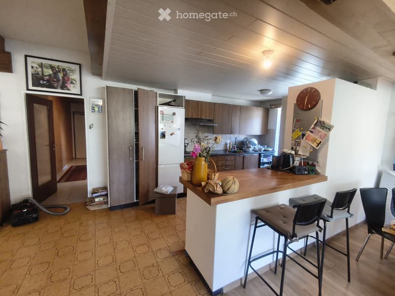 grand appartement 5,5 pièces (3)
