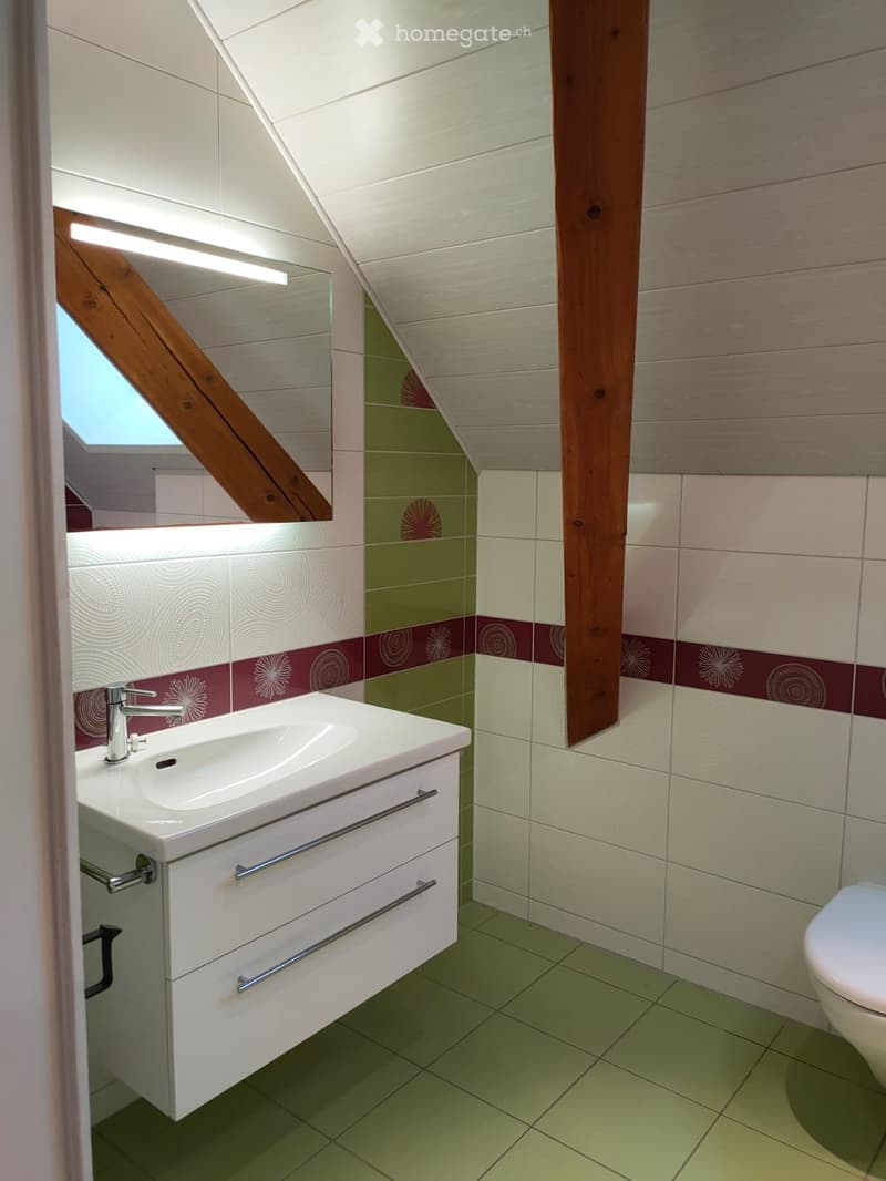 Appartement de 5,5 pièces au 2eme étages (3)