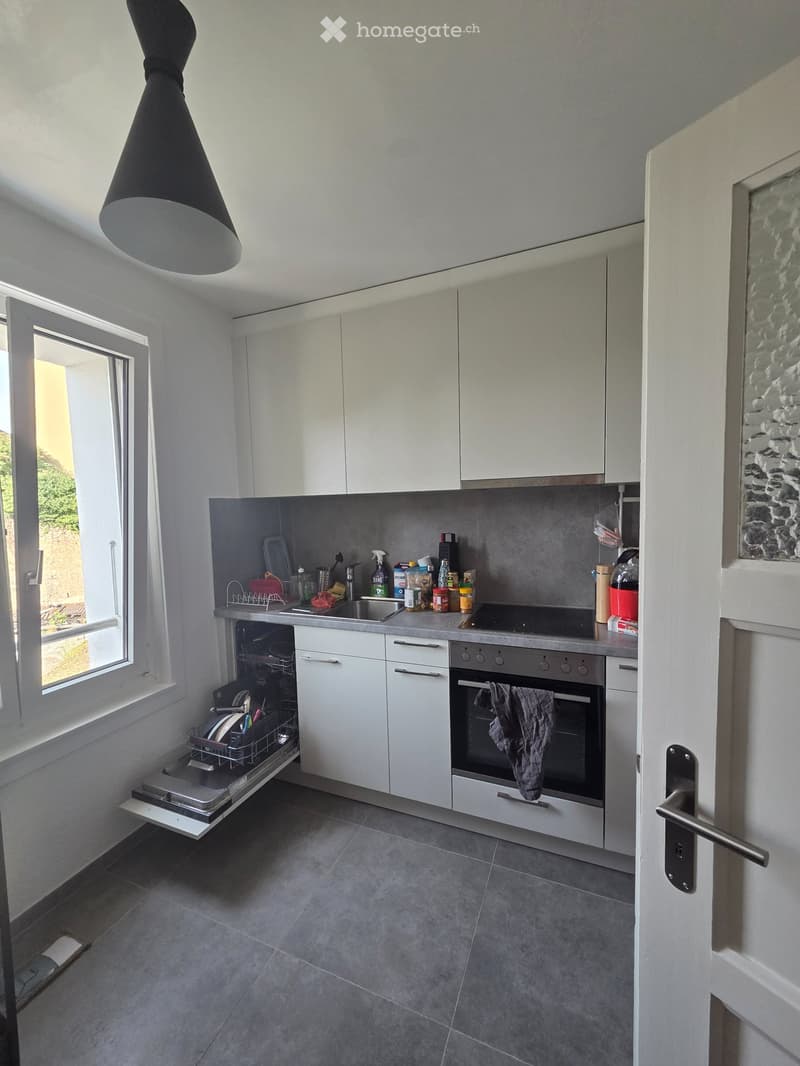 Appartement neuchatel (2)