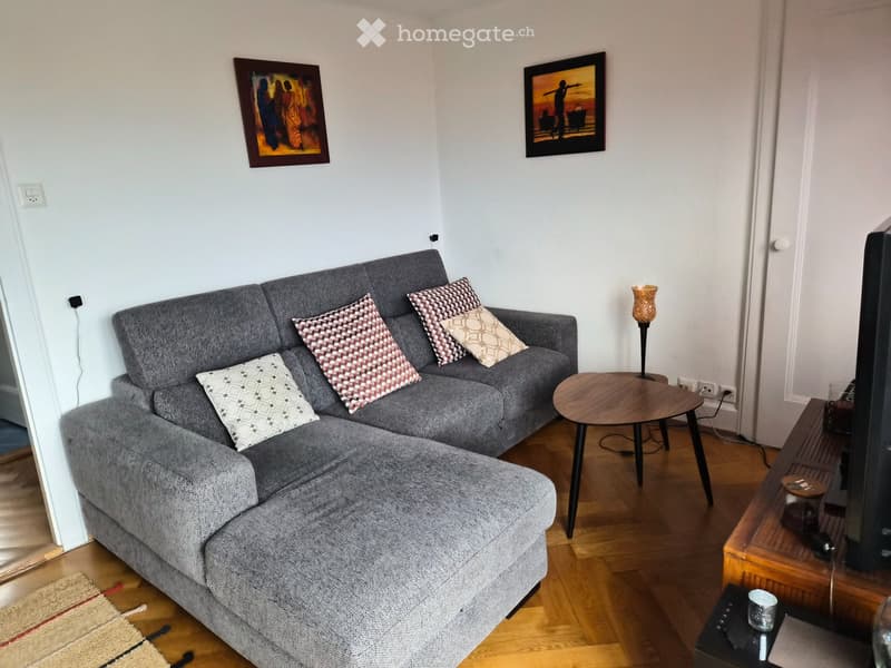 Superbe 2,5 pièces meublé avec terrasse Lausanne Mon Repos (3)