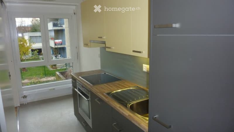 Appart 3.5 pces rénové dans petit immeuble sympa (1)