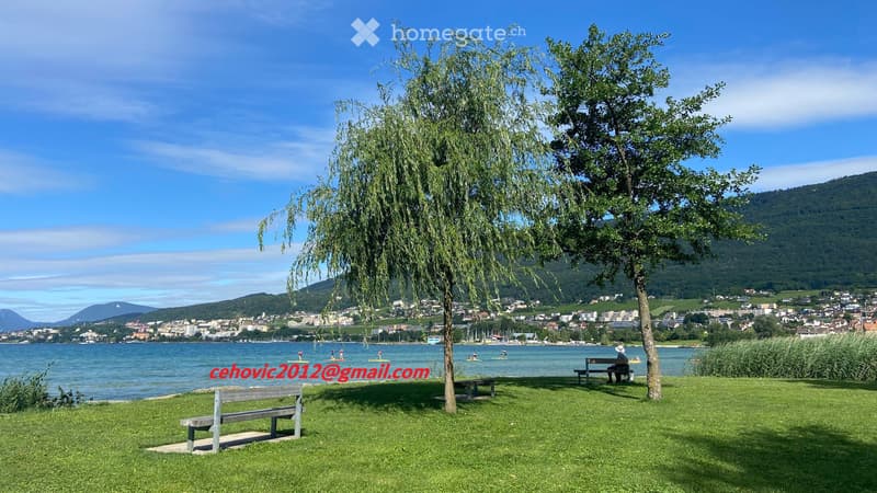 Reprise de Bail - Marin-Epagnier - Face au lac de Neuchatel (12)