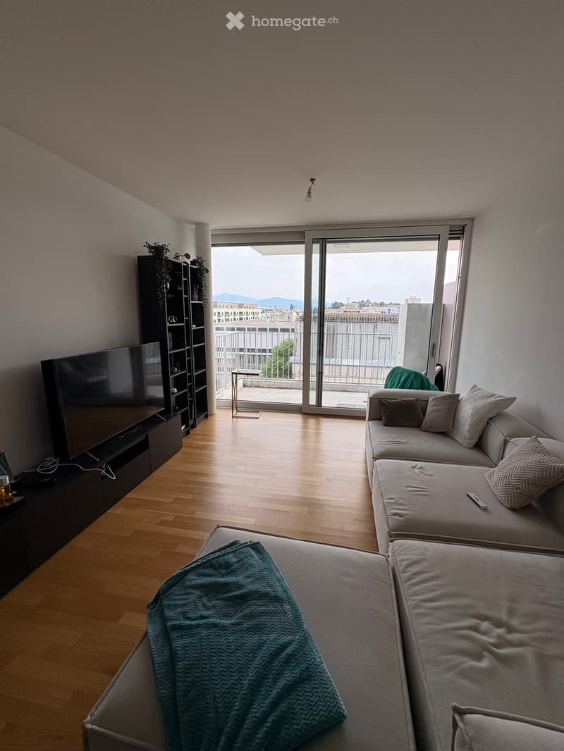 Sous location appartement de 2.5 pièces (1)