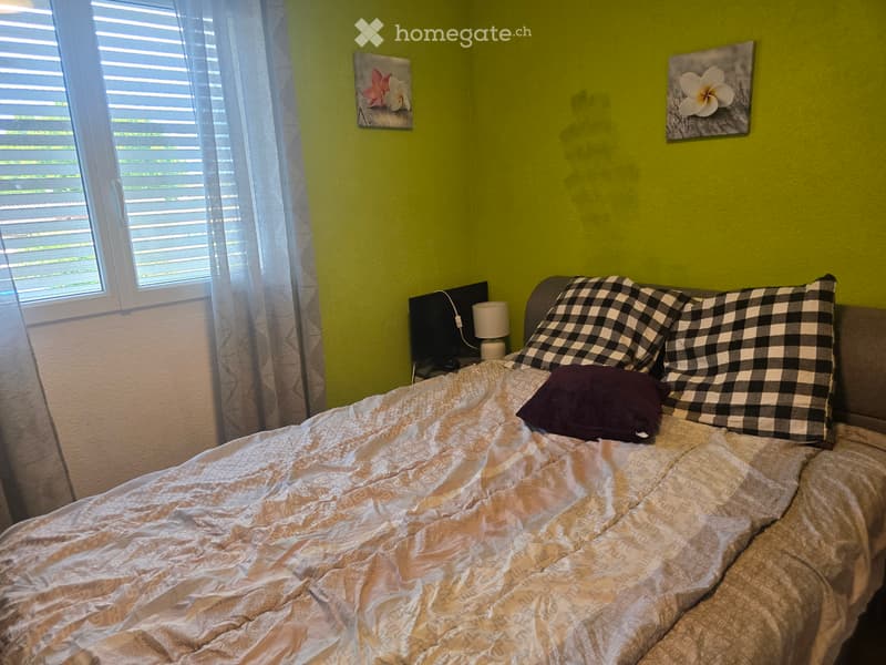 Chambre chez l'habitant à louer (3)