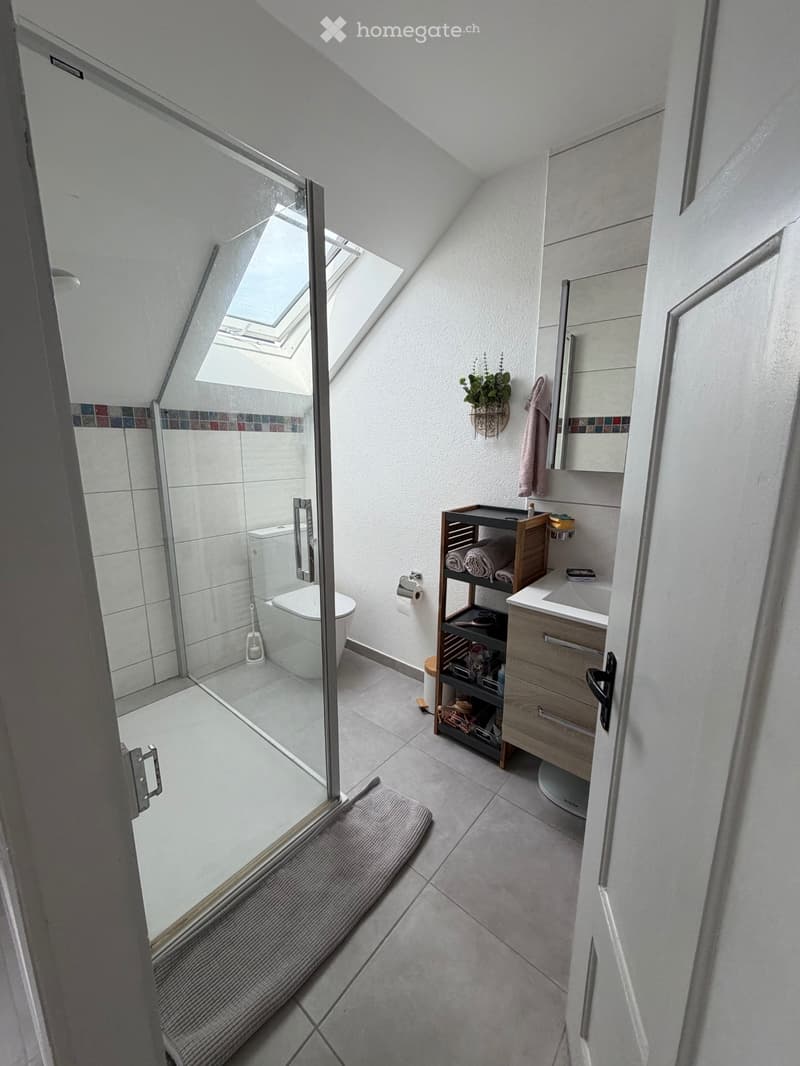 Appartement 3.5 pces à louer (4)